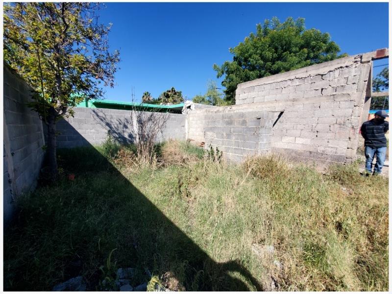 Terreno en venta en Parras de la Fuente Centro, Parras — foto 1 de 9