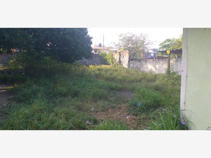 Terreno en renta en El Coyol, Veracruz — foto 1 de 3