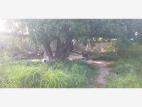 Terreno en renta en El Coyol, Veracruz — foto 2 de 3