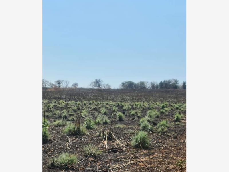 Terreno en venta en Cuauhtemoc, Cuauhtémoc
