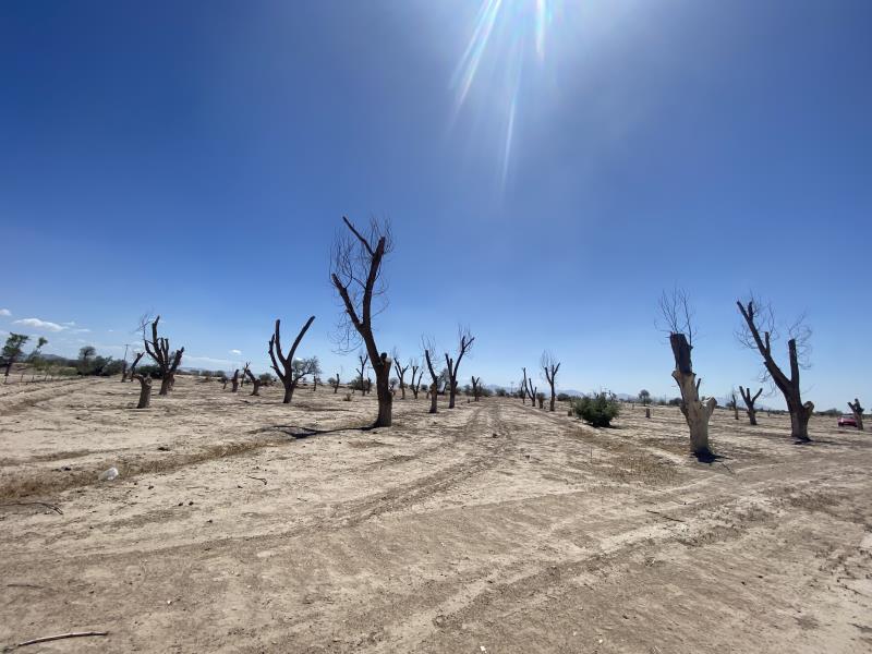 Terreno en Venta en La Concha, Torreón, Coahuila de Zaragoza