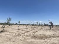 Terreno en venta en La Concha, Torreón — foto 2 de 9