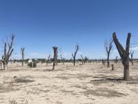 Terreno en venta en La Concha, Torreón — foto 3 de 9