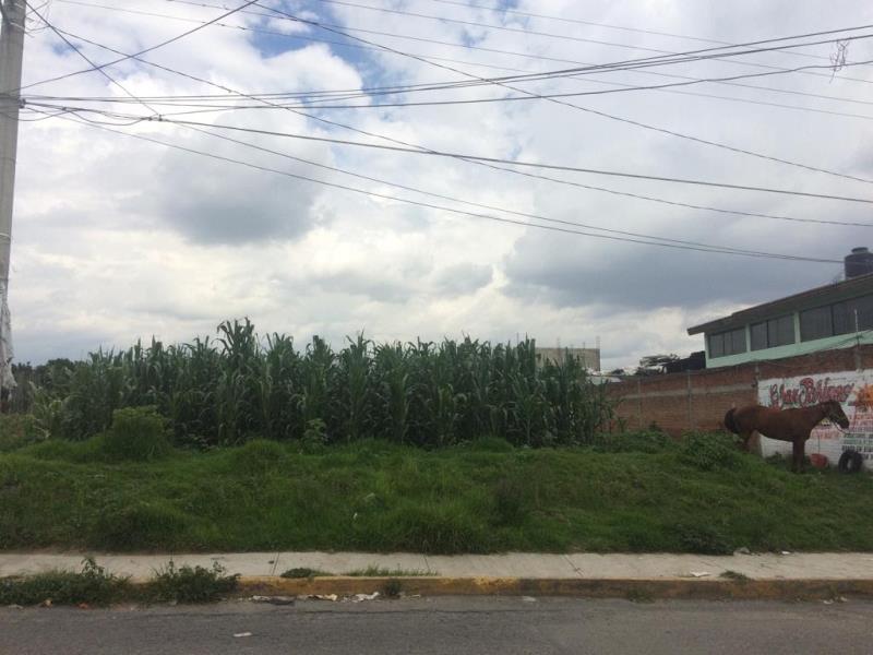 Terreno en venta en San Lorenzo Almecatla, Cuautlancingo — foto 1 de 2