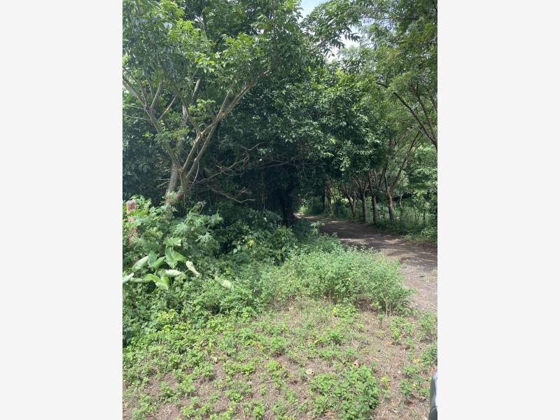 Terreno en venta en La Aguada, Alvarado — foto 1 de 10