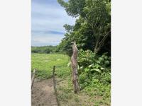 Terreno en venta en La Aguada, Alvarado — foto 3 de 10