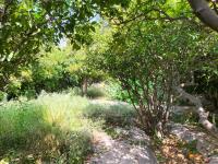 Terreno en venta en Villa de Guadalupe, Lerdo — foto 3 de 12