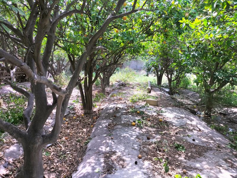 Terreno en venta en Villa de Guadalupe, Lerdo — foto 1 de 12