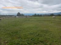 Terreno en venta en San Pablo Ojo de Agua, Huasca de Ocampo — foto 2 de 4