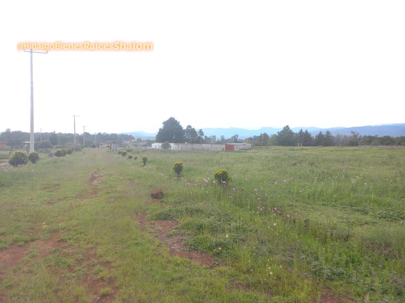 Terreno en venta en San Pablo Ojo de Agua, Huasca de Ocampo — foto 1 de 4