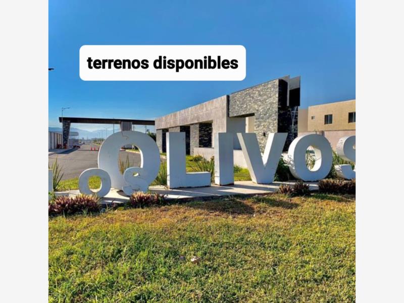Terreno en venta en Los Olivos, Gómez Palacio — foto 1 de 2