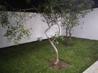 Casa en venta en Tetela del Monte, Cuernavaca — foto 3 de 43