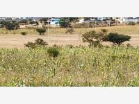 Terreno en venta en San Jose Iturbide Centro, San José Iturbide, Guanajuato