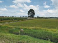 Terreno en venta en Huimilpan Centro, Huimilpan — foto 2 de 3