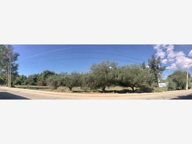 Terreno en venta en Tecate Centro, Tecate — foto 1 de 6