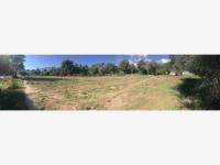 Terreno en venta en Tecate Centro, Tecate — foto 3 de 6