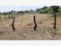 Terreno en venta en Anton Lizardo, Alvarado — foto 3 de 7