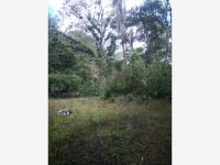 Terreno en venta en San José Novillero, Boca del Río — foto 2 de 3