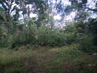 Terreno en venta en San José Novillero, Boca del Río — foto 3 de 3