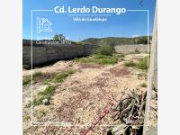 Terreno en venta en Villa de Guadalupe, Lerdo — foto 3 de 11