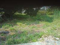 Terreno en venta en Tres de Mayo, Emiliano Zapata — foto 3 de 5