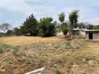 Terreno en venta en San Miguel Papaxtla, San Jerónimo Tecuanipan — foto 2 de 11
