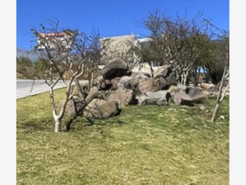 Terreno en venta en Zanda, León