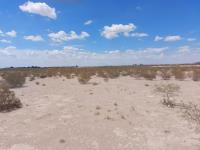 Terreno en venta en El Olivo, Matamoros — foto 2 de 16