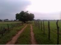 Finca-Rancho en venta en La Huasteca 1ra. Sección, Centro, Tabasco