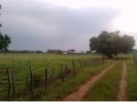 Finca-Rancho en venta en La Huasteca 1ra. Sección, Centro — foto 2 de 9
