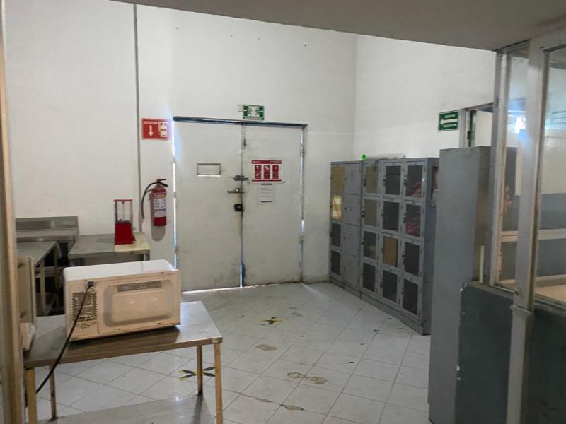 Bodega en renta en Eduardo Guerra, Torreón — foto 1 de 14