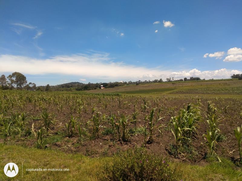 Terreno en venta en Aculco de Espinoza, Aculco — foto 1 de 14