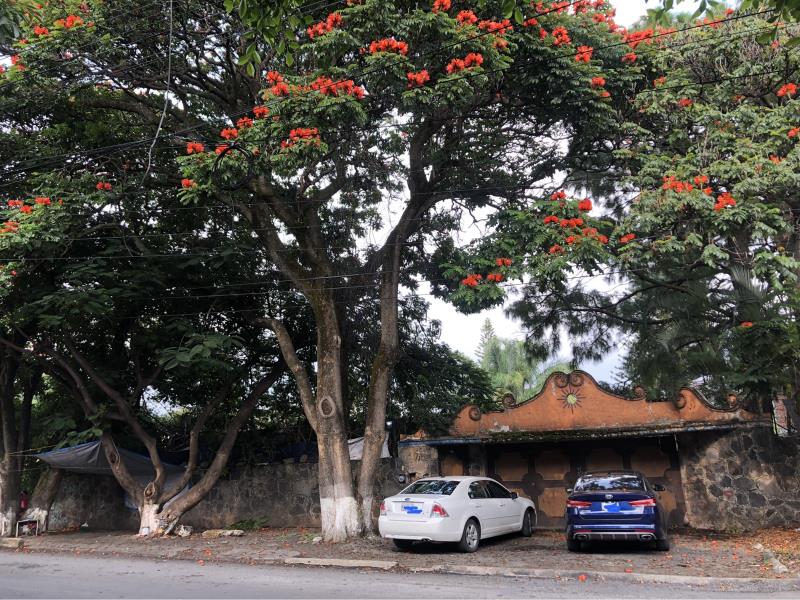 Terreno en venta en Lomas de San Anton, Cuernavaca — foto 1 de 16