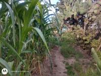 Terreno en venta en Aculco de Espinoza, Aculco — foto 3 de 19