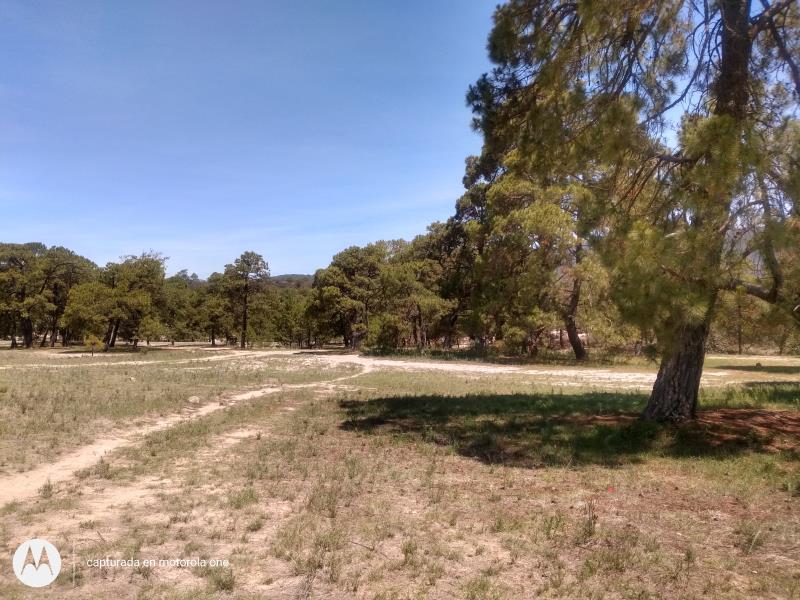 Terreno en venta en Aculco de Espinoza, Aculco — foto 1 de 26