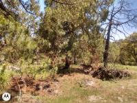 Terreno en venta en Aculco de Espinoza, Aculco — foto 3 de 26