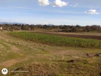 Terreno en venta en Aculco de Espinoza, Aculco — foto 2 de 16
