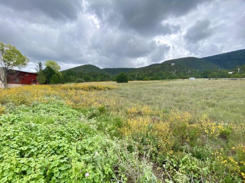 Terreno en venta en San Antonio de las Alazanas, Arteaga — foto 1 de 18