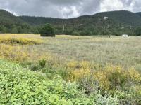 Terreno en venta en San Antonio de las Alazanas, Arteaga — foto 2 de 18