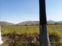 Quinta en venta en El Huarache (el Guarache), Lerdo — foto 3 de 16