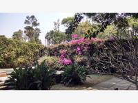 Terreno en renta en Lomas de la Selva, Cuernavaca — foto 3 de 5