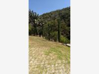 Finca-Rancho en venta en El Capulín, León — foto 3 de 28