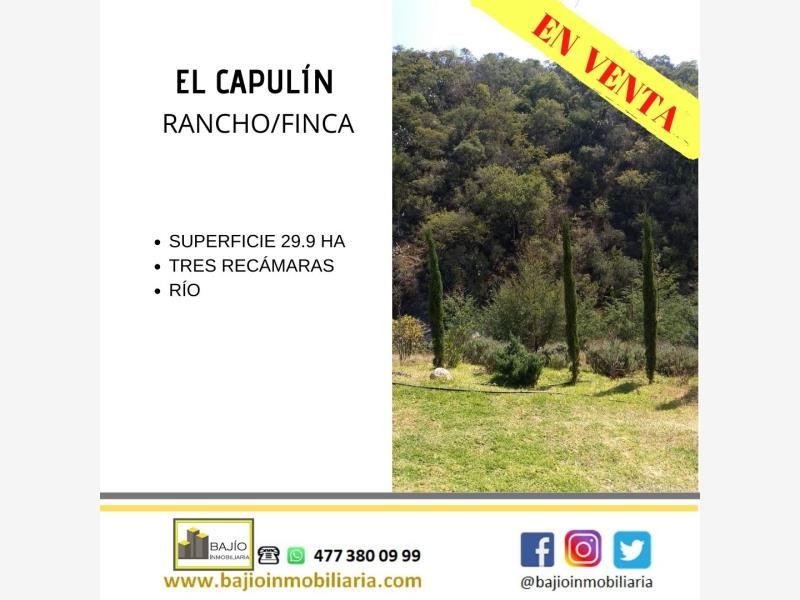 Finca-Rancho en venta en El Capulín, León — foto 1 de 28
