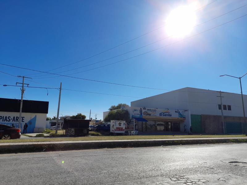 Terreno en Renta en Monte Real, Torreón, Coahuila de Zaragoza