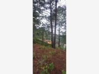 Terreno en venta en Mazamitla, Mazamitla — foto 3 de 17