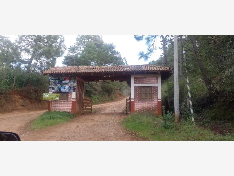 Terreno en venta en Mazamitla, Mazamitla — foto 1 de 17