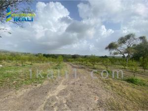Finca-Rancho en venta en Balcazar, Tamiahua, Veracruz de Ignacio de la Llave