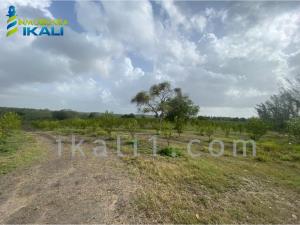 Finca-Rancho en venta en Balcazar, Tamiahua — foto 2 de 8