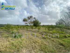 Finca-Rancho en venta en Balcazar, Tamiahua — foto 3 de 8