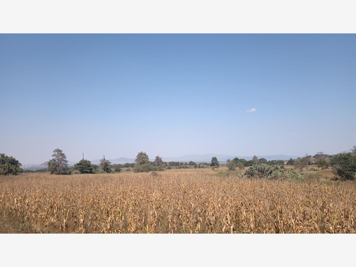 Terreno en venta en Lázaro Cárdenas (San Rafael), Polotitlán — foto 1 de 7